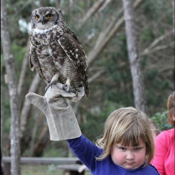 Meet your Posher, Rene - Picture 2 of 8